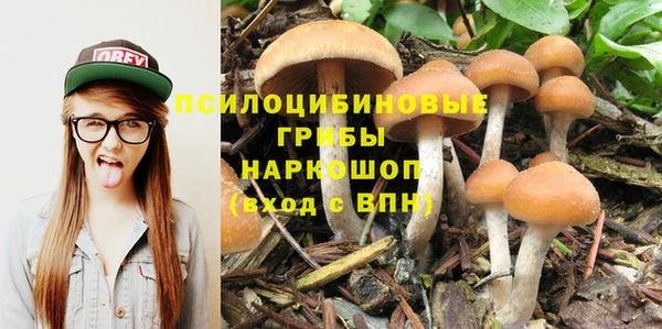 прущая мука Белоозёрский