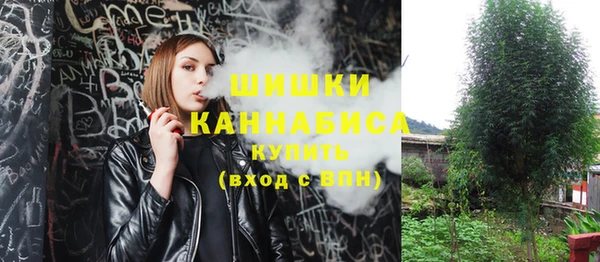 ешки Богородицк