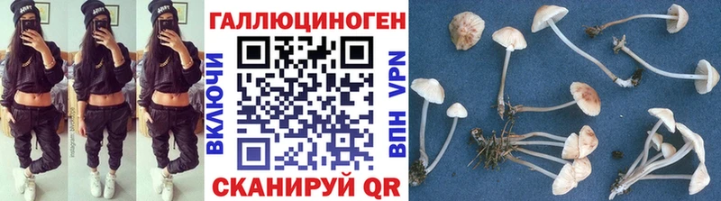 Псилоцибиновые грибы GOLDEN TEACHER  цена   Копейск 