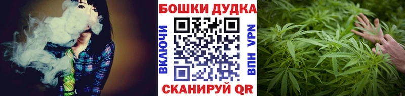 Бошки марихуана THC 21%  наркошоп  mega ТОР  Копейск 